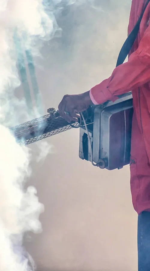 fumigation-treatment